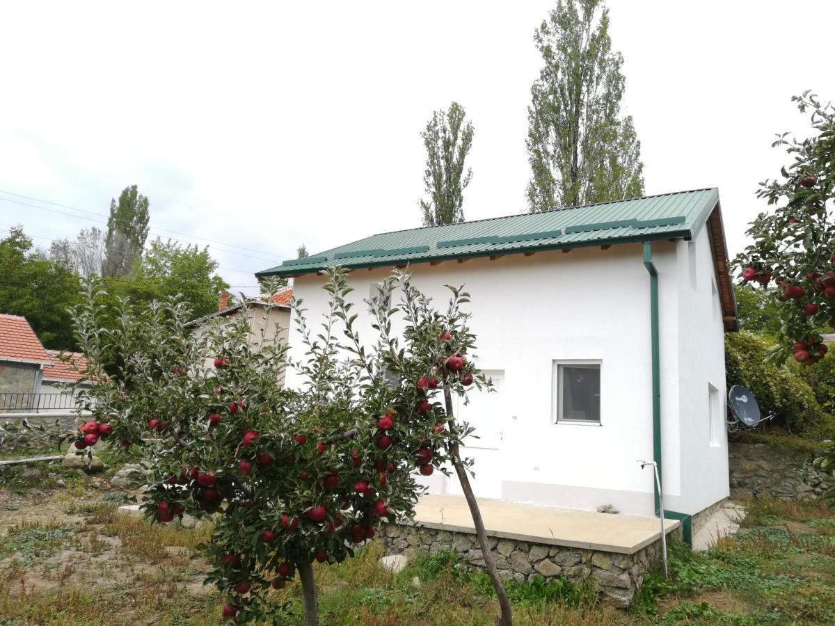 Villa Lila Dolno Dupeni Exterior photo